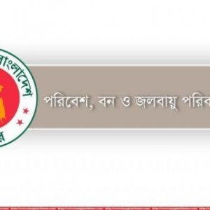 সুন্দরবনের চারপাশে ১০ কিলোমিটার এলাকায় নতুন শিল্পপ্রতিষ্ঠান স্থাপনে নিষেধাজ্ঞা