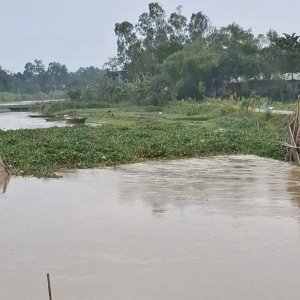 এক সেতুর ভাঙনে ১১ গ্রামের মানুষের ভোগান্তি