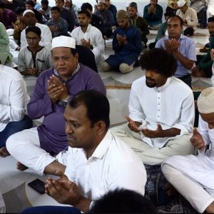 একসঙ্গে ঈদের নামাজ পড়েছেন জামাল-হামজারা