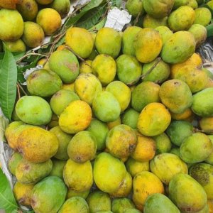 ভালো আম চেনার কিছু উপায় জেনে নিন