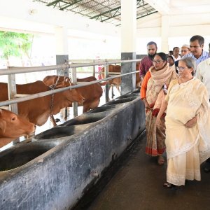 লাম্পি স্কিন ডিজিজে গবাদিপশুর চামড়ায় প্রভাব পড়ে কিনা দেখতে হবে: প্রাণিসম্পদ উপদেষ্টা