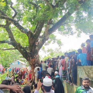 শতবর্ষী গাছের গোড়ায় জ্বলছে আগুন, ডাল দিয়ে বের হচ্ছে ধোঁয়া!
