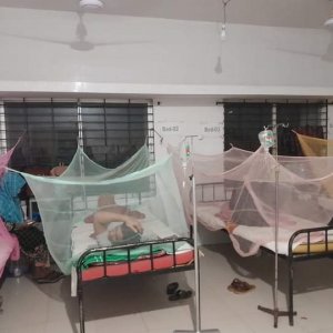 চট্টগ্রামে নতুন করে ডেঙ্গু-চিকুনগুনিয়ায় আক্রান্ত ১০৩