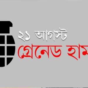 একুশে আগস্ট গ্রেনেড হামলা মামলা: আপিল শুনানি যে পর্যায়ে