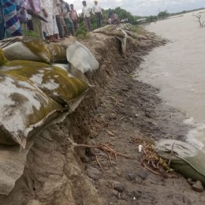 বাঁধ ভেঙে প্লাবন আতঙ্কে পাইকগাছার ১৩ গ্রামের ১৫ হাজার মানুষ