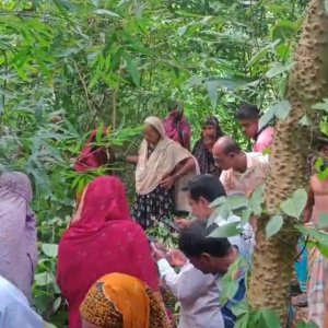 জঙ্গলে পাতায় ঢাকা মায়ের লাশ, তিন ছেলে-পুত্রবধূসহ আটক ৫