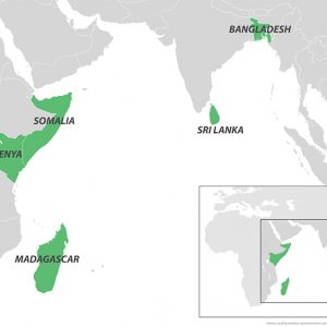 বাংলাদেশে চিকুনগুনিয়া নিয়ে যুক্তরাষ্ট্রের স্বাস্থ্য সতর্কতা