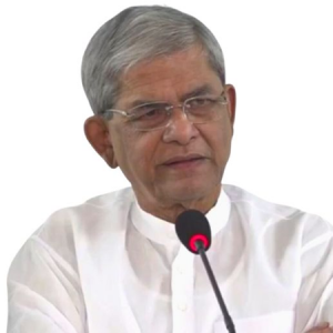 দেশকে অস্থিতিশীল করতে দেশীয় ও আন্তর্জাতিক শত্রুরা তৎপর: মির্জা ফখরুল