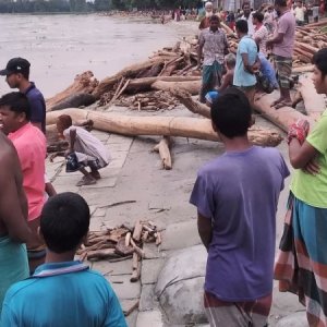 ভারত থেকে ভেসে আসা ঢলে গাছের গুঁড়ি ধর‌তে গি‌য়ে নিখোঁজ ধান ব্যবসায়ী