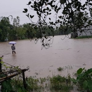 তিস্তার পানিতে ভাসছে ১৫ হাজার পরিবার