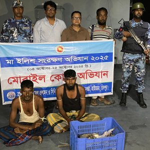 মেঘনায় ইলিশ শিকারের দায়ে দুই জেলের কারাদণ্ড