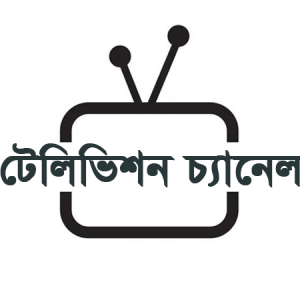 ‘দলীয় বিবেচনায়’ টেলিভিশন চ্যানেলের লাইসেন্স নিয়ে বিতর্ক
