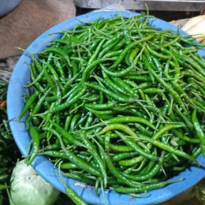 কাঁচা মরিচের কেজিতে বেড়েছে ১৬০ টাকা, নাগালের বাইরে সবজির দাম