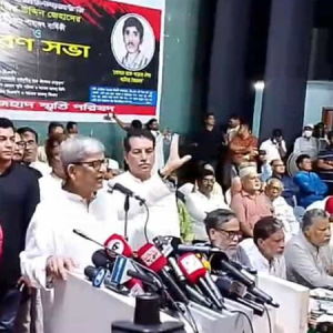 কয়েকজন মিলে আইন করলে গণতন্ত্র হয় না: মির্জা ফখরুল
