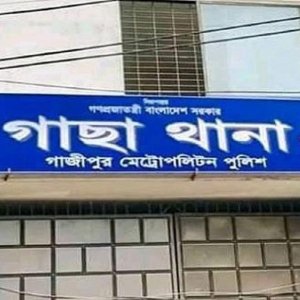 ডিভোর্স দেওয়ায় সাবেক স্বামীর ছুরিকাঘাতে নারীর মৃত্যুর অভিযোগ