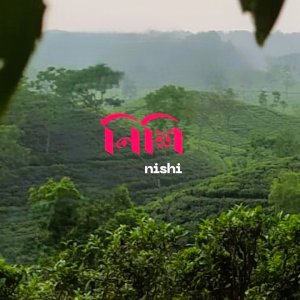 যুক্তরাষ্ট্রের ইমা অ্যাওয়ার্ডে বাংলাদেশের ‘নিশি’