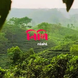 যুক্তরাষ্ট্রে পুরস্কার জিতলো বাংলাদেশের ‘নিশি’