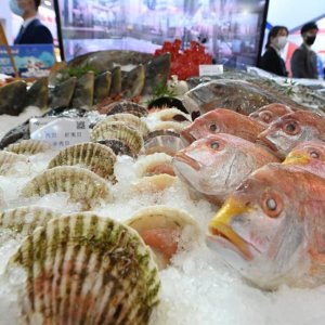 চীনের মরুতে সামুদ্রিক মাছ