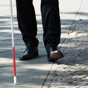 বিশ্ব সাদাছড়ি নিরাপত্তা দিবস আজ