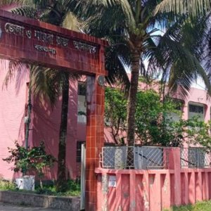 নির্যাতনের মামলা সাবেক স্ত্রীর, সঠিক তদন্তের মাধ্যমে বিচার চান প্রবাসী