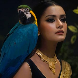 গিফট নিয়ে হয়ে গেলাম প্রতারক: তিশা