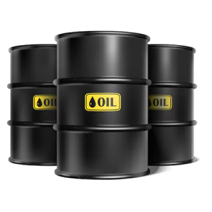 ২৮ লাখ টন জ্বালানি তেল আমদানির সিদ্ধান্ত