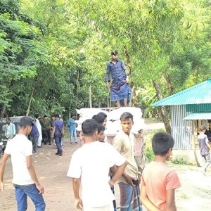 মিয়ানমারে পাচারকালে ট্রলারবোঝাই ইউরিয়া সার জব্দ