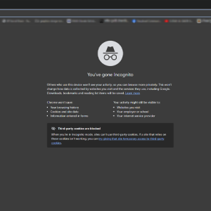 ইনকগনিটো মোড বা ভিপিএন কি পুরোপুরি নিরাপত্তা দেয়?