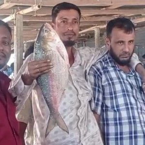 মাছঘাটে এক ইলিশ বিক্রি হলো ৯২০০ টাকায়