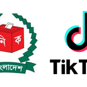 এআই নির্ভর অপপ্রচার ঠেকাতে টিকটকের সঙ্গে বৈঠক করেছে ইসি
