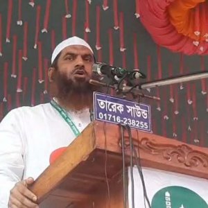 জুলাই সনদের আইনি ভিত্তি ছাড়া নির্বাচন মানবে না জনগণ: মামুনুল হক