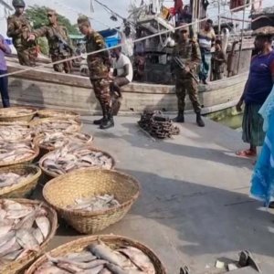 নিষেধাজ্ঞার সময় ইলিশ ধরে মজুত, পচে গেছে সাড়ে ৩০০ কেজি