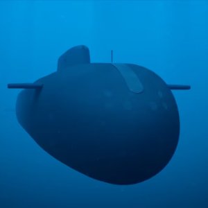 পারমাণবিক সুপার টর্পেডোর সফল পরীক্ষা চালিয়েছে রাশিয়া: পুতিন