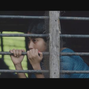 ‘যাত্রা হবে না কাওয়ালি, বুঝে উঠতে পারছি না’