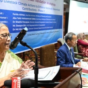 জলবায়ু সহনশীল দেশীয় গরুর জাত সংরক্ষণের তাগিদ প্রাণিসম্পদ উপদেষ্টার
