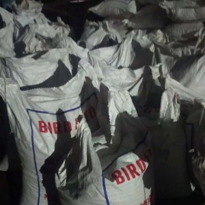 চট্টগ্রাম বন্দরে বার্ড ফুড ঘোষণায় পাকিস্তান থেকে আনা হলো নিষিদ্ধ পপি সিড