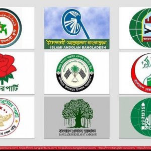 নির্বাচনে ইসলামি দলগুলো কয়টি আসনে জিততে পারে?