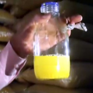 রঙ মেশানো ১২ হাজার কেজি মুগডাল জব্দ