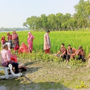 পশুর নদে নৌকা উল্টে আমেরিকা প্রবাসী নারী পর্যটক নিখোঁজ