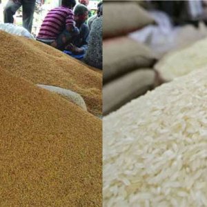 সাত লাখ টন ধান-চাল কেনার সিদ্ধান্ত