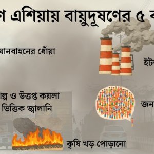 বাতাসে বিষ, নিঃশ্বাসে আর অবহেলায় আয়ু কমছে ৬ বছর