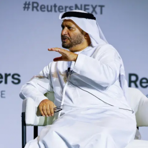 গাজার স্থিতিশীলতা বাহিনীতে যোগদানে অনিচ্ছুক সংযুক্ত আরব আমিরাত