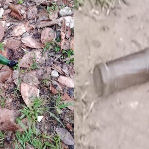 গ্রামীণ টেলিকম ট্রাস্টের রিসোর্টে আবারও পেট্রলবোমা নিক্ষেপ