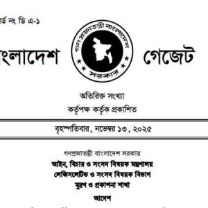 জুলাই সনদ আদেশের গেজেট জারি