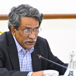 প্রধান উপদেষ্টার বিশেষ সহকারী হলেন আলী রীয়াজ