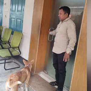 ৮ কুকুরছানাকে হত্যা: অভিযুক্ত কর্মকর্তাকে সরকারি বাসা ছাড়ার নির্দেশ