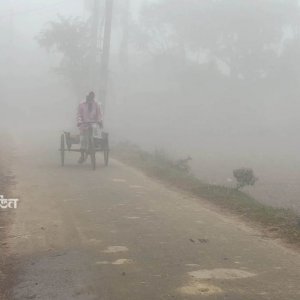 কুড়িগ্রামে তাপমাত্রা নেমেছে ১২ ডিগ্রিতে