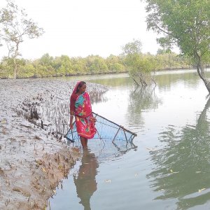 জলবায়ু বিপর্যয়ে অস্তিত্ব সংকটে মুন্ডা সম্প্রদায়, বাঁচবে কীভাবে