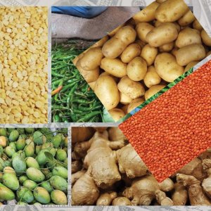 কৃষকের হাত ধরেও আসছে ডলার: কৃষিজাত প্রক্রিয়াকরণ শিল্পের উত্থান