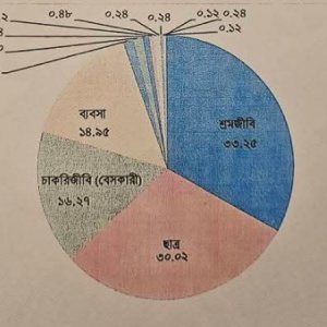 গেজেটভুক্ত জুলাই শহীদদের মধ্যে সবচেয়ে বেশি শ্রমিক